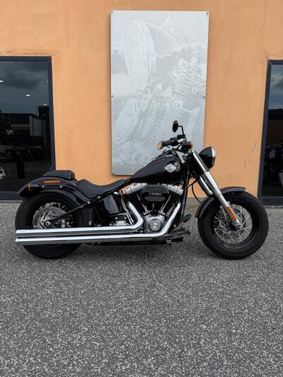 Harley-Davidson 1690 Slim (2017) - FLS usata