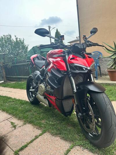 Ducati Streetfighter V4 (2023 - 24) usata