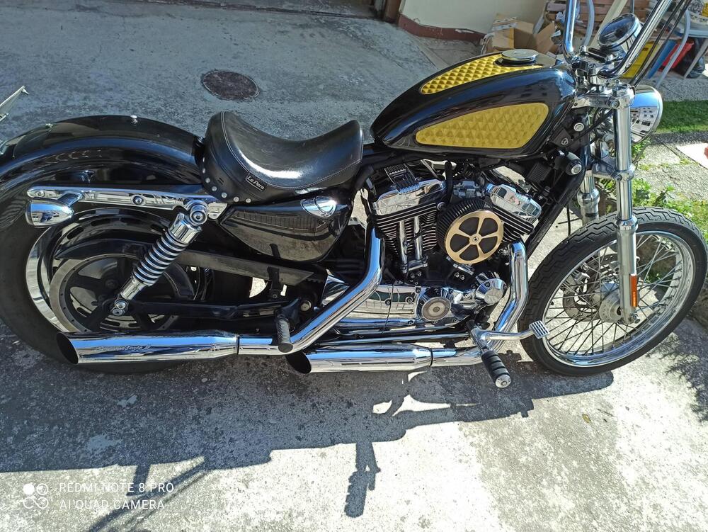Harley-Davidson 1200 Custom (2004 - 06) - XL 1200C (2)