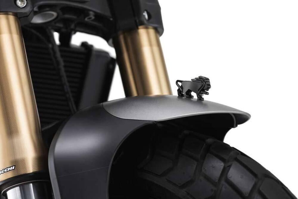 Benelli Leoncino 800 (2022 - 26) (6)