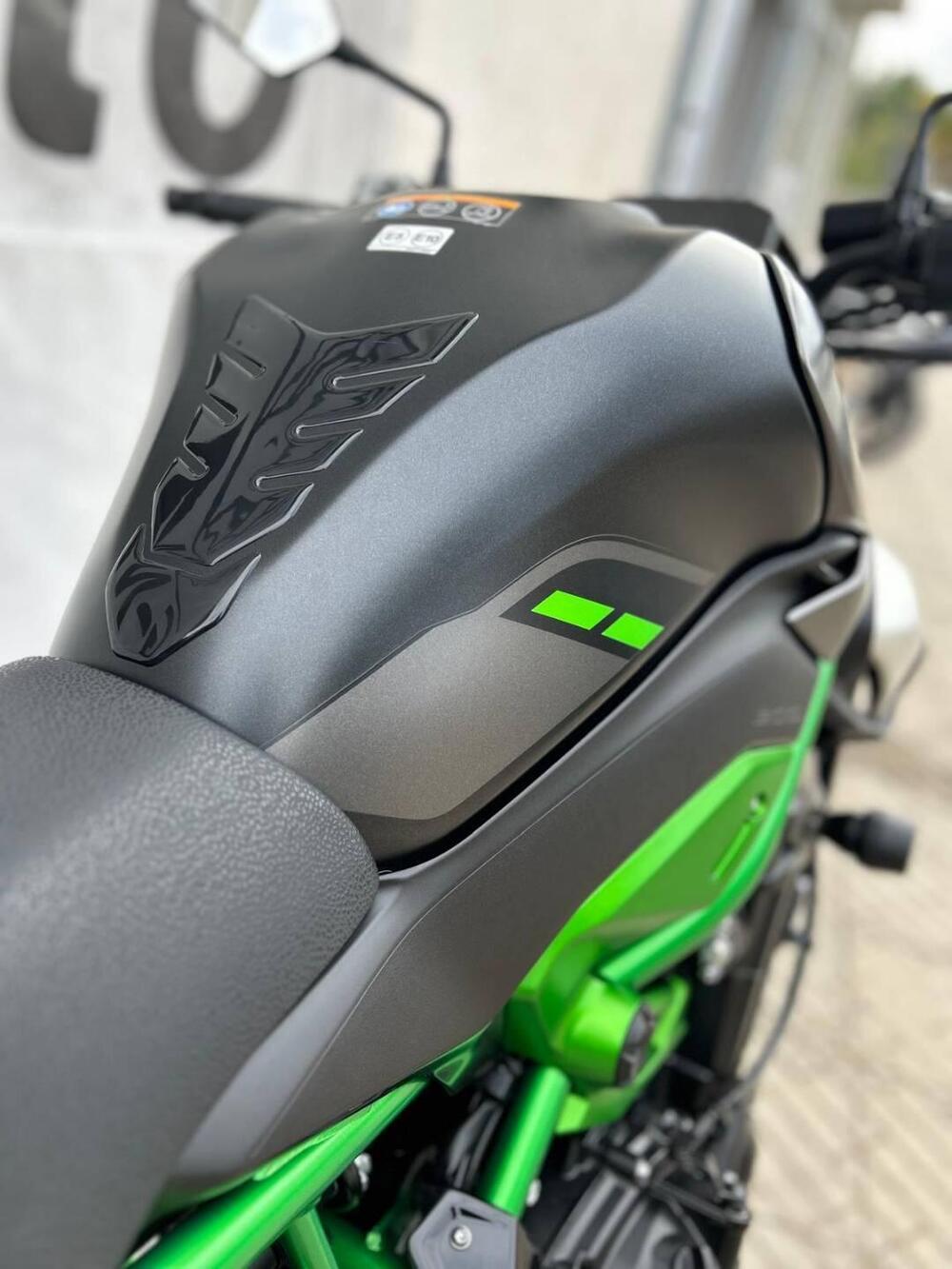 Kawasaki Z 900 (2025 - 26) (5)