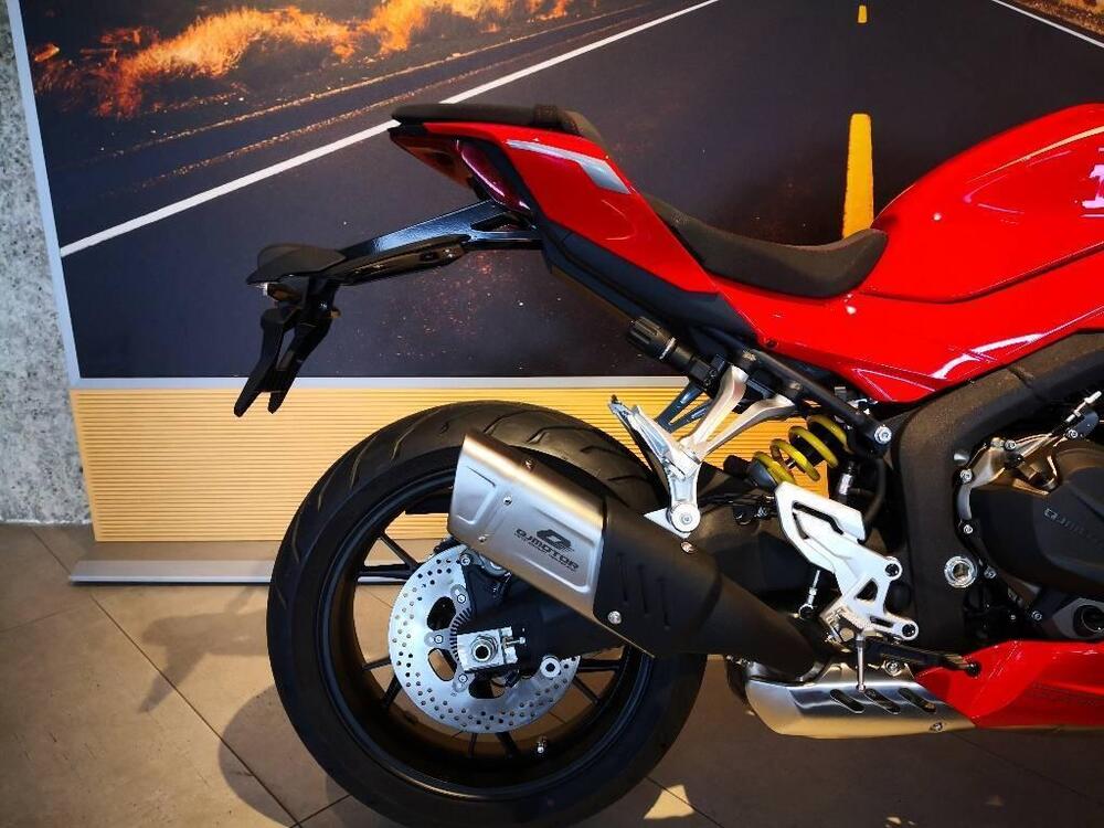 QJ Motor SRK 800 RR (2025 - 26) (5)