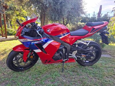 Honda CBR 600 RR (2024 - 25) usata