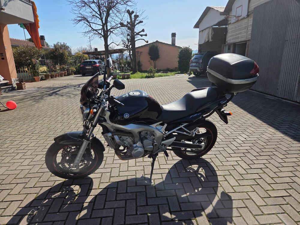 Yamaha FZ6 (2004 - 07) (6)