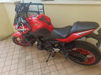 Kawasaki Z 650 50th Anniversary (2022 - 23) usata