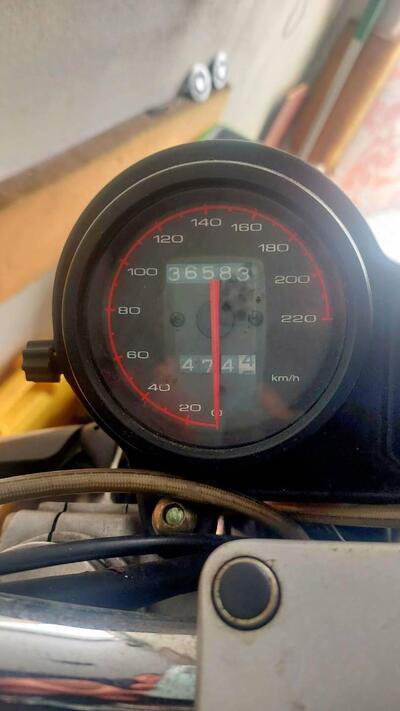 Ducati Monster 600 Dark (1998 - 01) usata