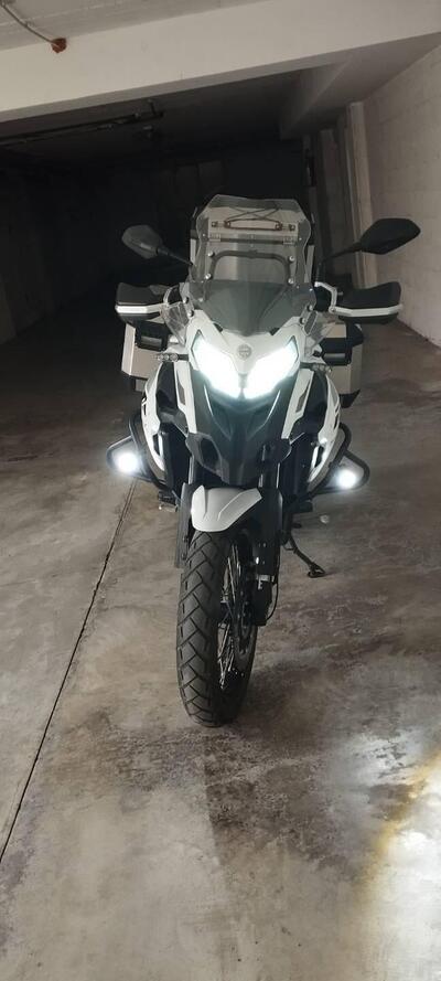 Benelli TRK 502X (2020) usata