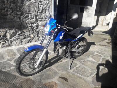 Betamotor Alp 4.0 (2008 - 17) usata