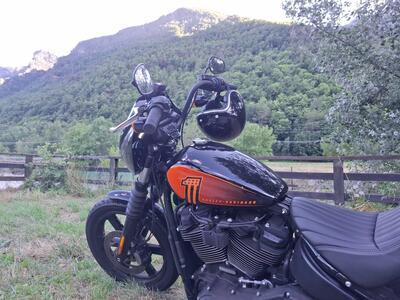 Harley-Davidson Street Bob 114 (2021 - 24) usata