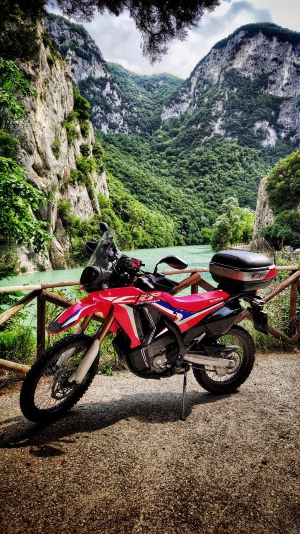 Honda CRF 250 Rally (2017 - 20)