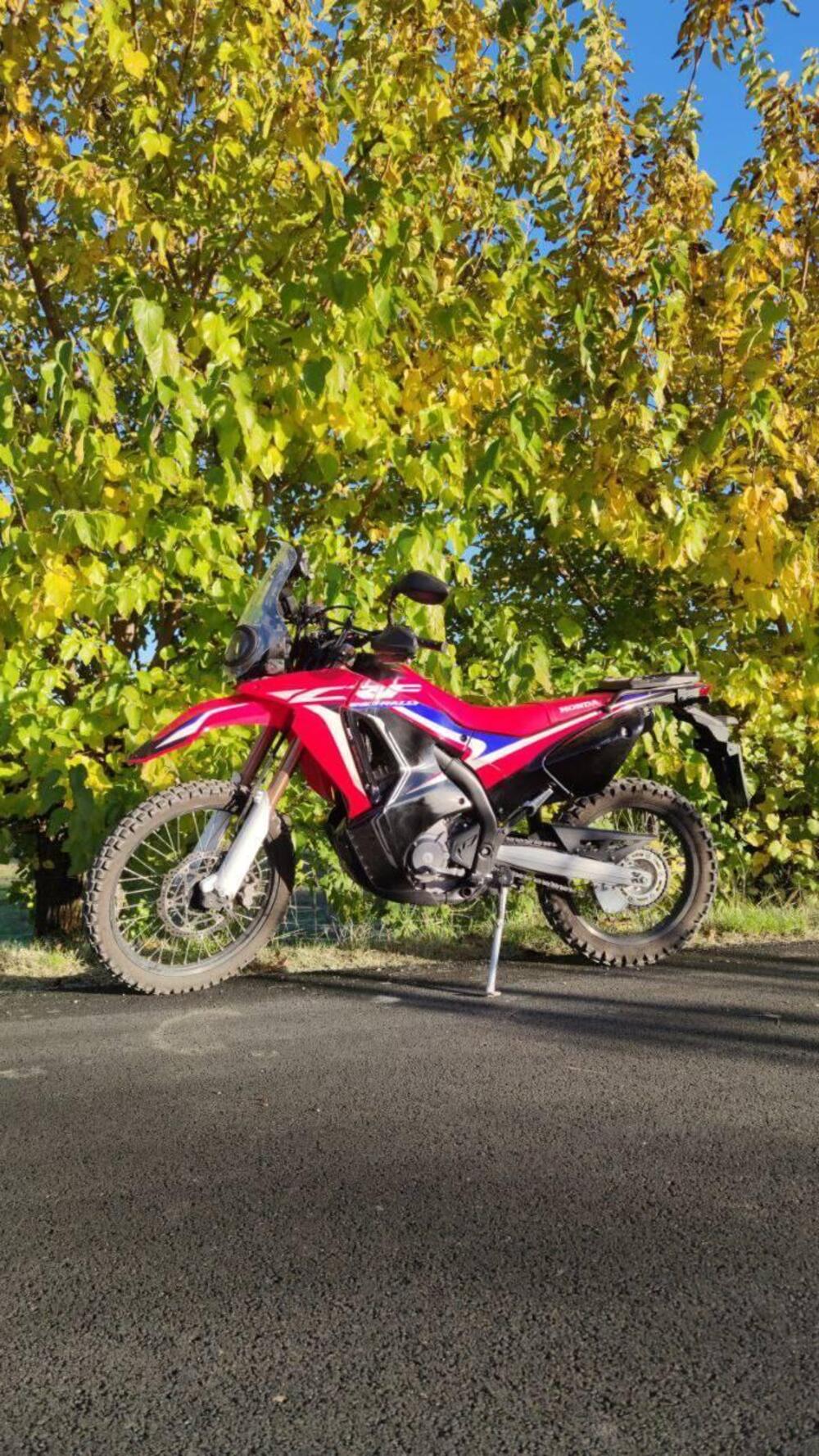 Honda CRF 250 Rally (2017 - 20) (3)