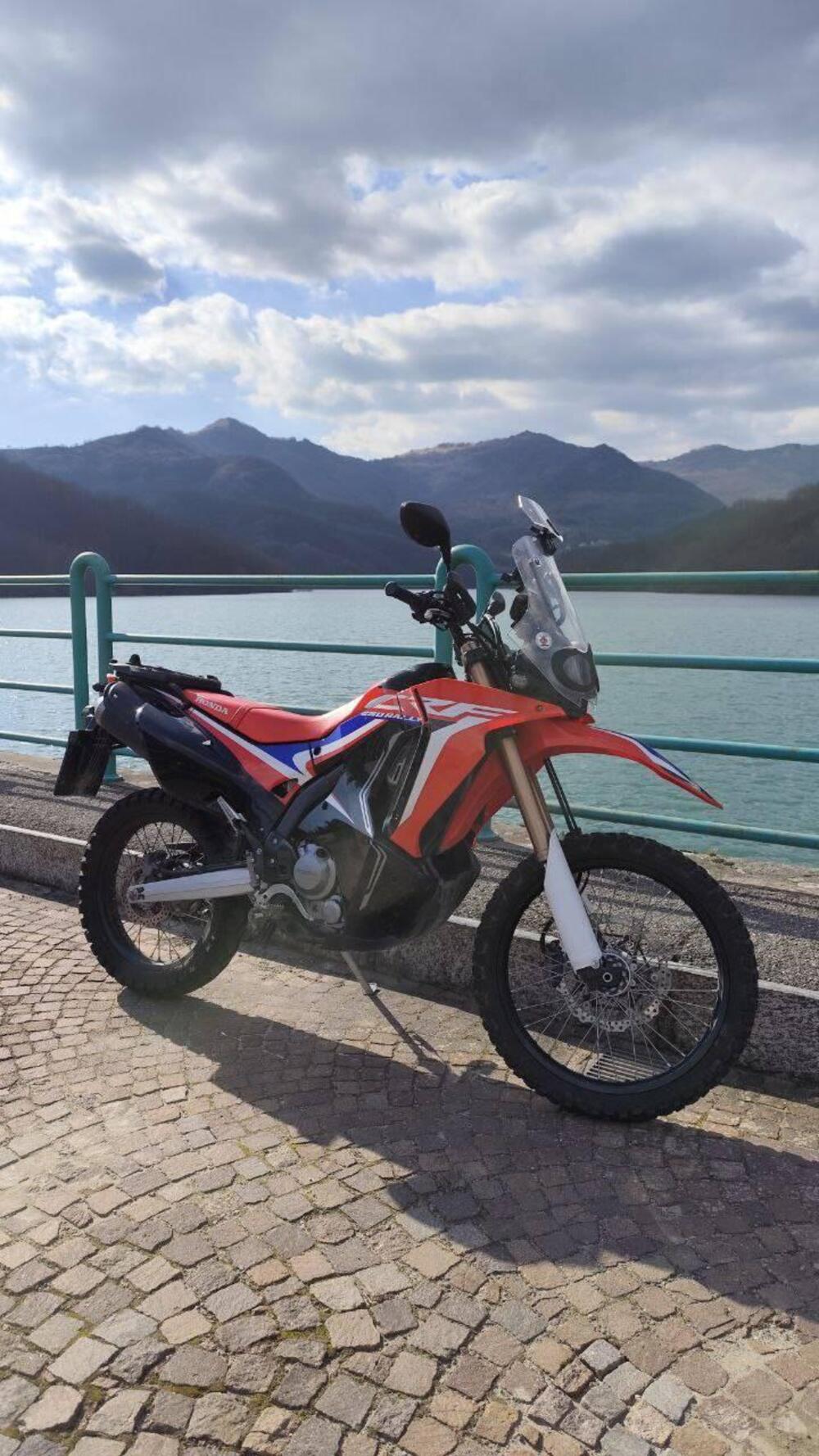 Honda CRF 250 Rally (2017 - 20) (6)