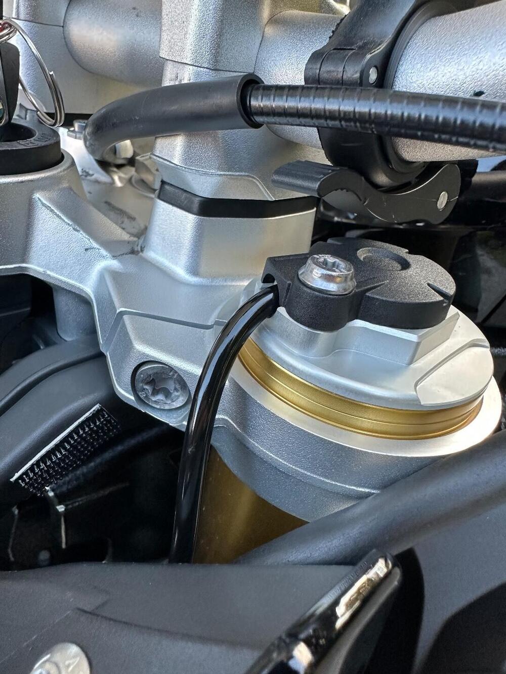 Bmw S 1000 R (2017 - 20) (7)