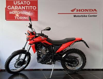 Betamotor Alp 4.0 (2024 - 25) usata