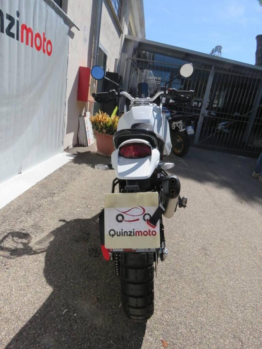 Ducati DesertX (2022 - 25) (4)