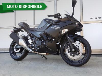 Kawasaki Ninja 500 (2024 - 26) nuova