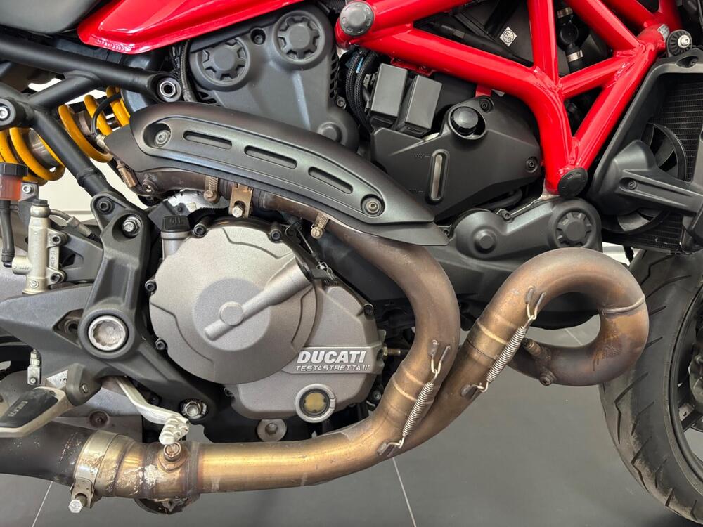 Ducati Monster 821 (2018 - 20) (5)
