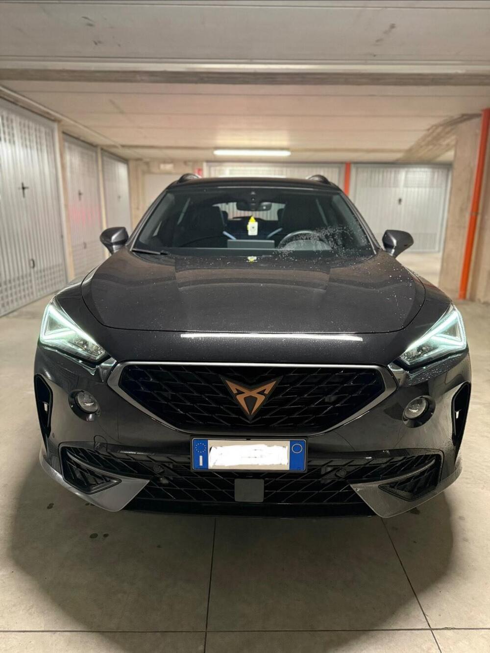 Cupra Formentor usata a Monza e Brianza (2)