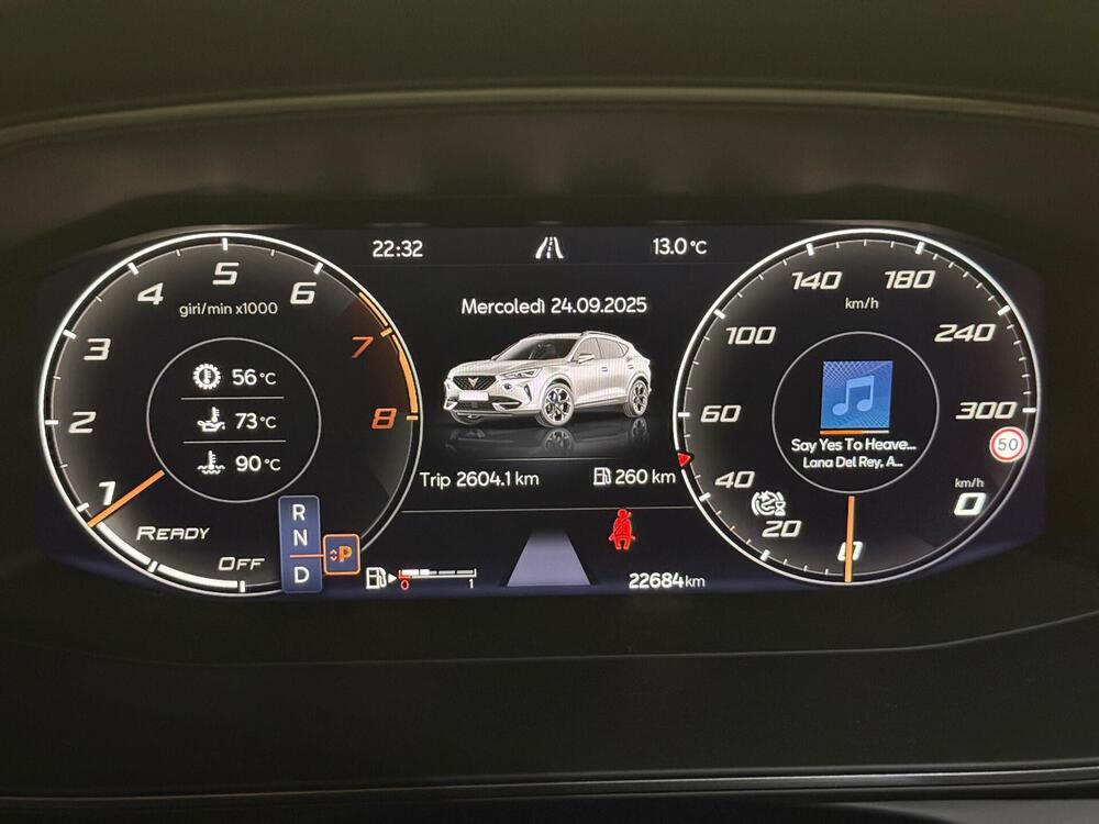 Cupra Formentor usata a Monza e Brianza (4)