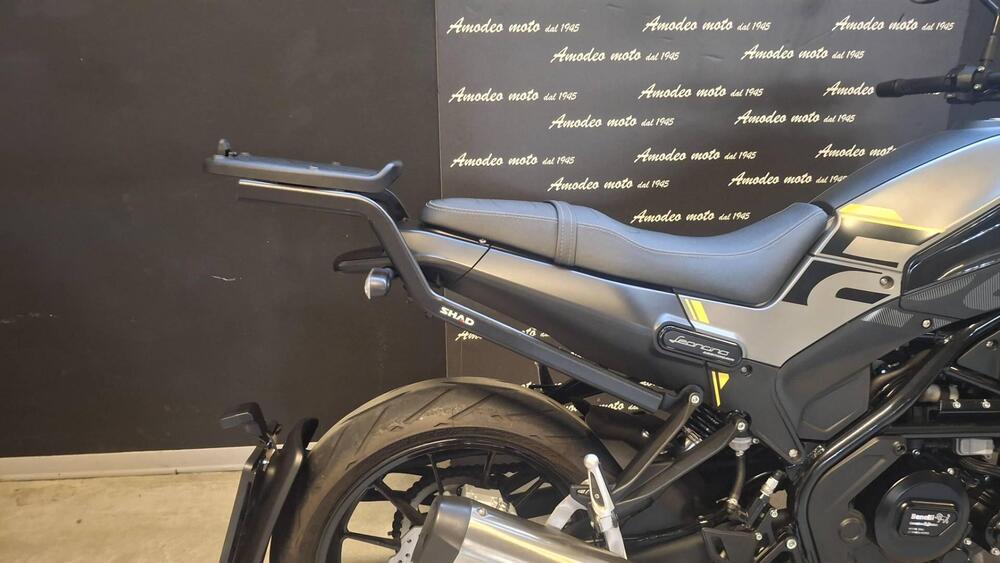 Benelli Leoncino 250 (2021 - 25) (4)