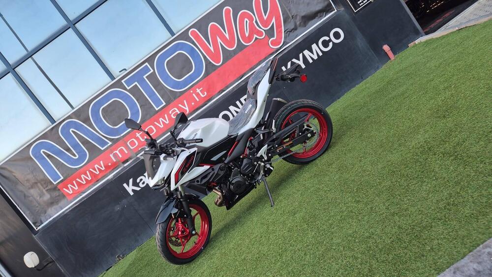Kawasaki Z 500 SE (2024 - 26)