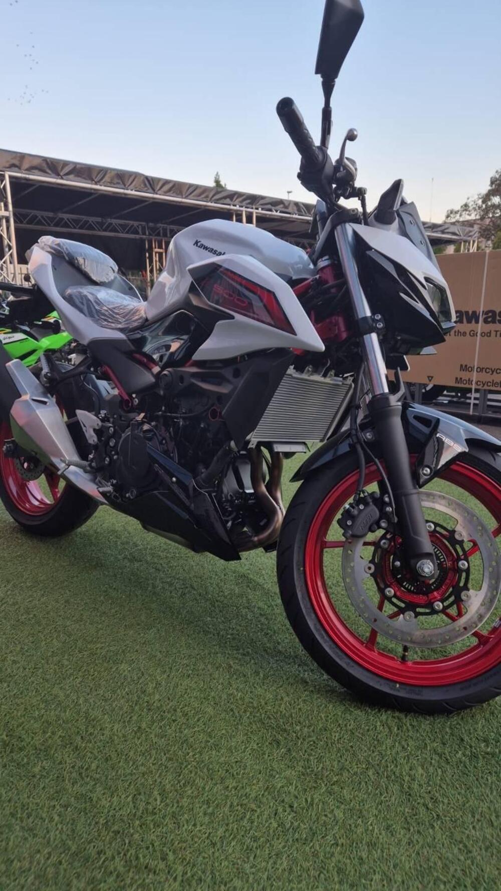 Kawasaki Z 500 SE (2024 - 26) (3)