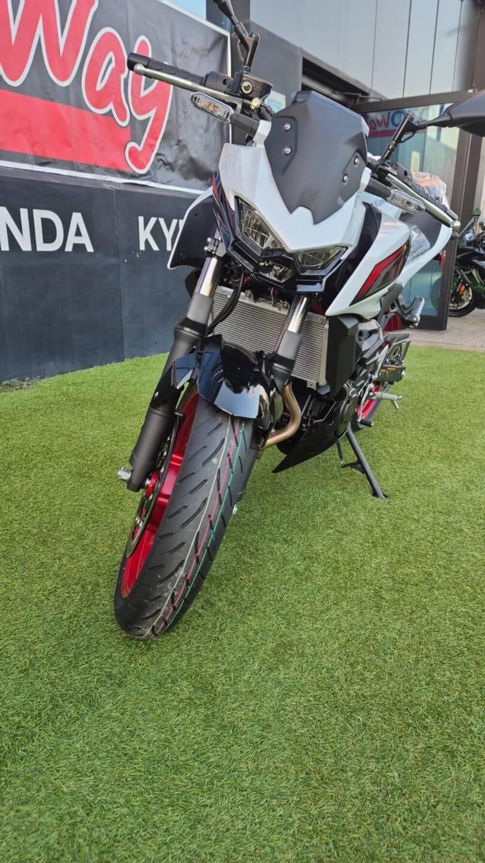 Kawasaki Z 500 SE (2024 - 26) (6)