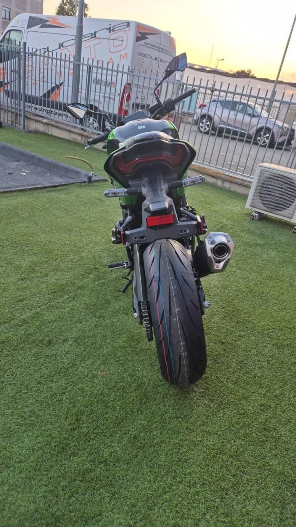 Kawasaki Z 900 (2025 - 26) (2)