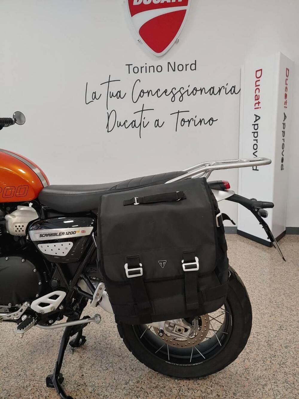 Triumph Scrambler 1200 XE (2024 - 25) (6)