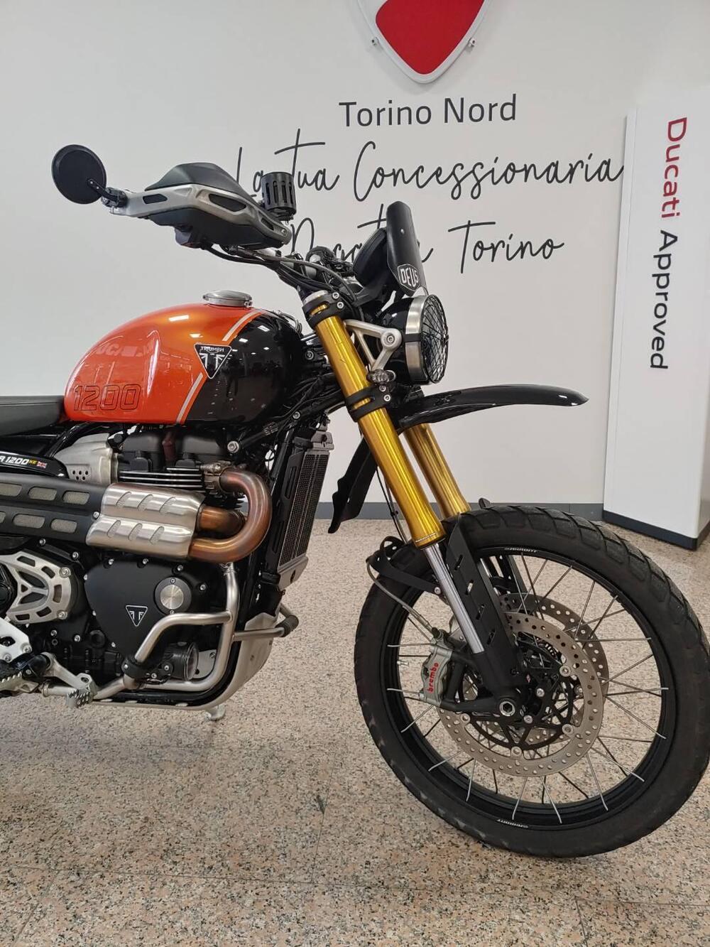Triumph Scrambler 1200 XE (2024 - 25) (11)