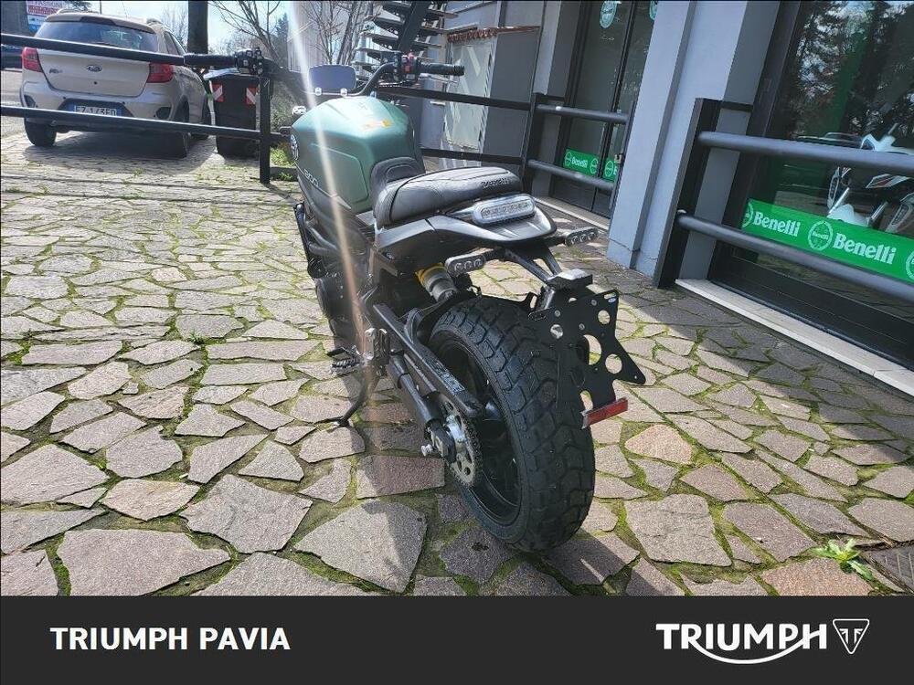 Benelli Leoncino 800 (2022 - 25) (4)