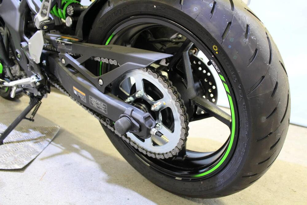 Kawasaki Ninja ZX-4RR (2024 - 26) (14)