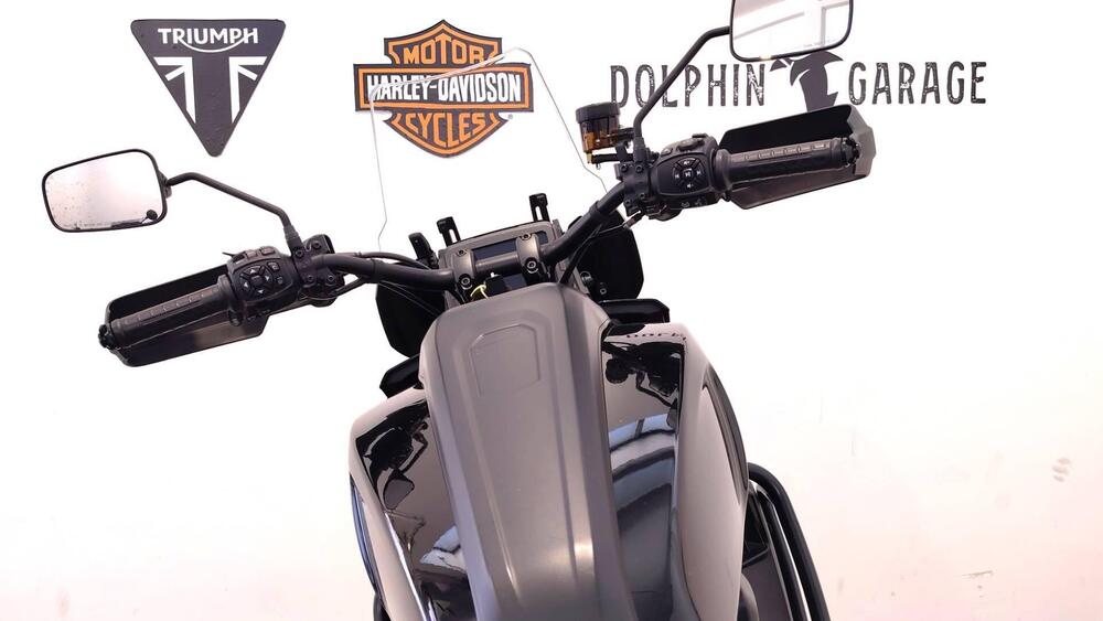 Harley-Davidson Pan America 1250 Special (2020 - 25) (9)