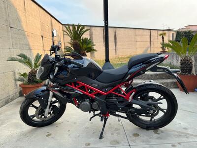Benelli BN 125 (2021 - 25) usata