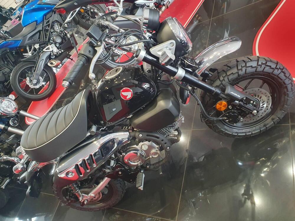 Honda Monkey 125 (2025 - 26)