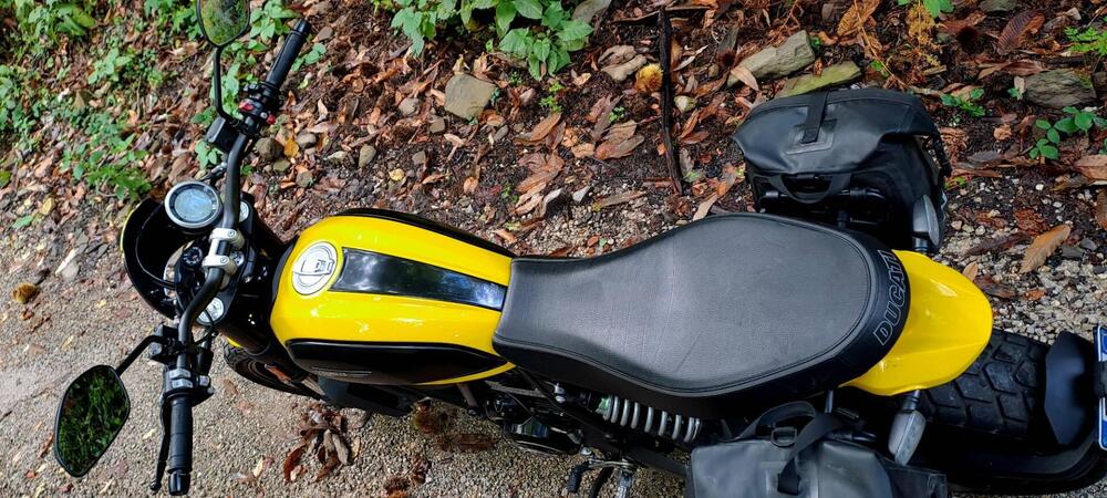 Ducati Scrambler 800 Icon (2017 - 20) (5)