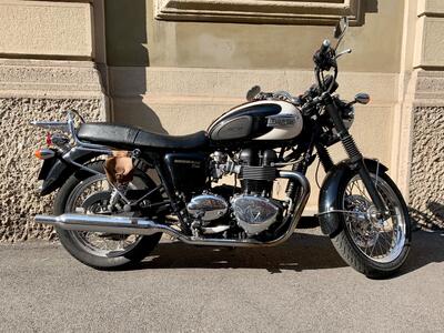 Triumph Bonneville T100 (2008 - 16) usata