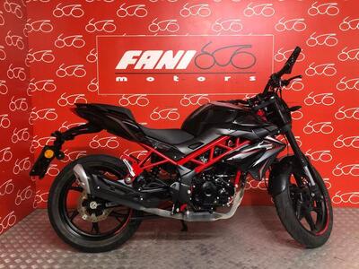 Benelli BN 125 (2021 - 25) usata