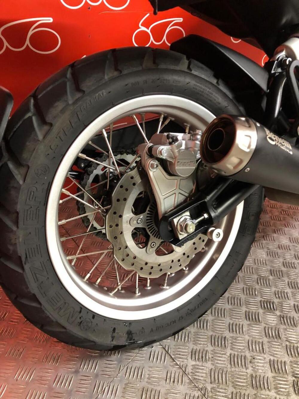 Benelli Leoncino 500 Trail (2021 - 26) (5)