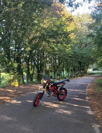 Valenti Racing N01 50 (2015 - 22) usata