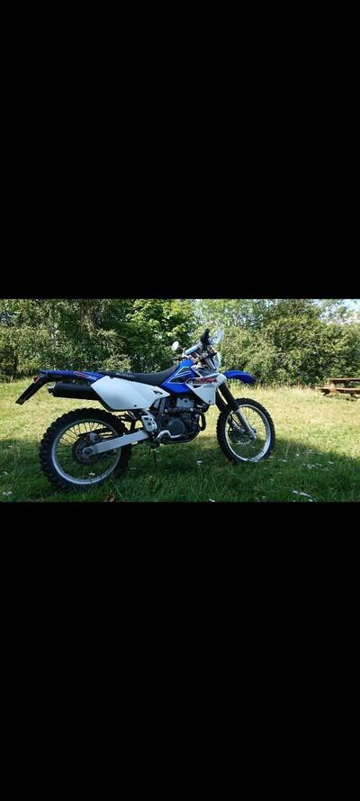 Suzuki DR-Z 400 S (2000 - 06) usata