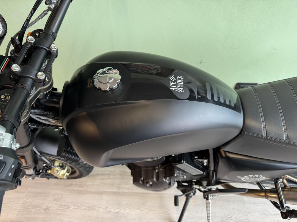 Swm Ace of Spades 500 (2018 - 20) (5)