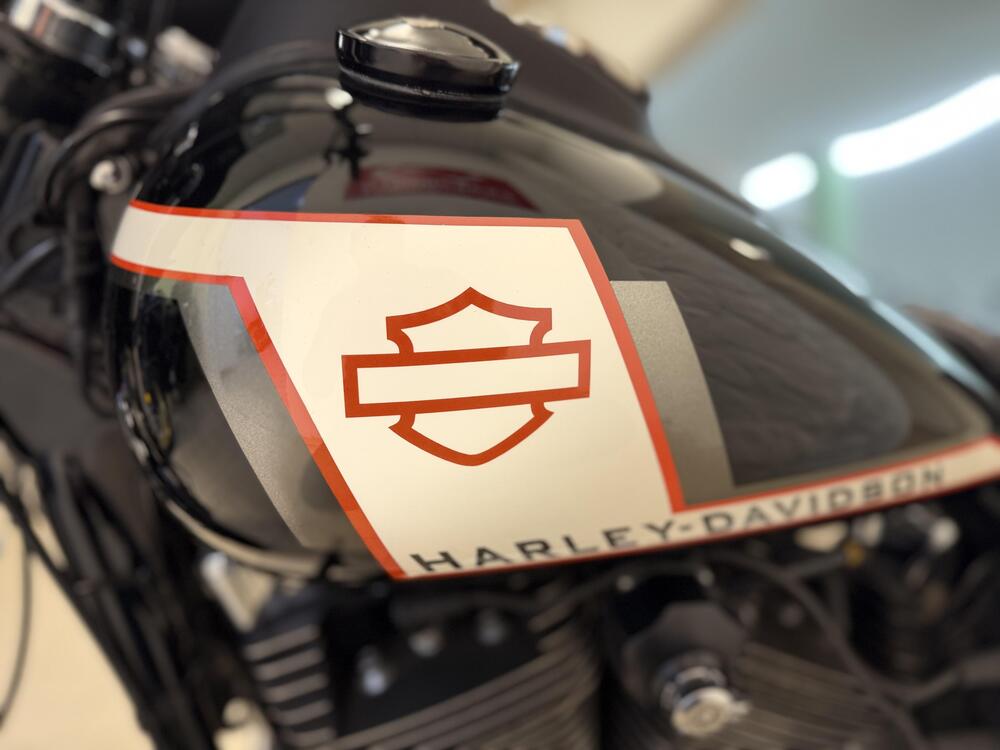 Harley-Davidson 1690 Low Rider (2014 - 17) - FXDL (9)