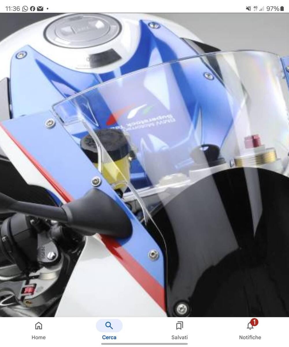 Bmw S 1000 RR (2009 - 12) (6)