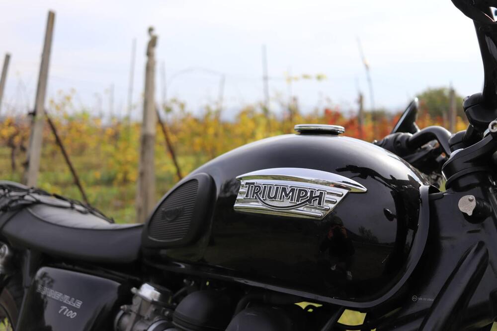 Triumph Bonneville T100 (2008 - 16) (3)