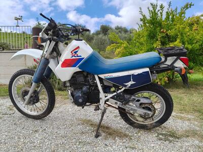 Honda XL 600 RM d'epoca