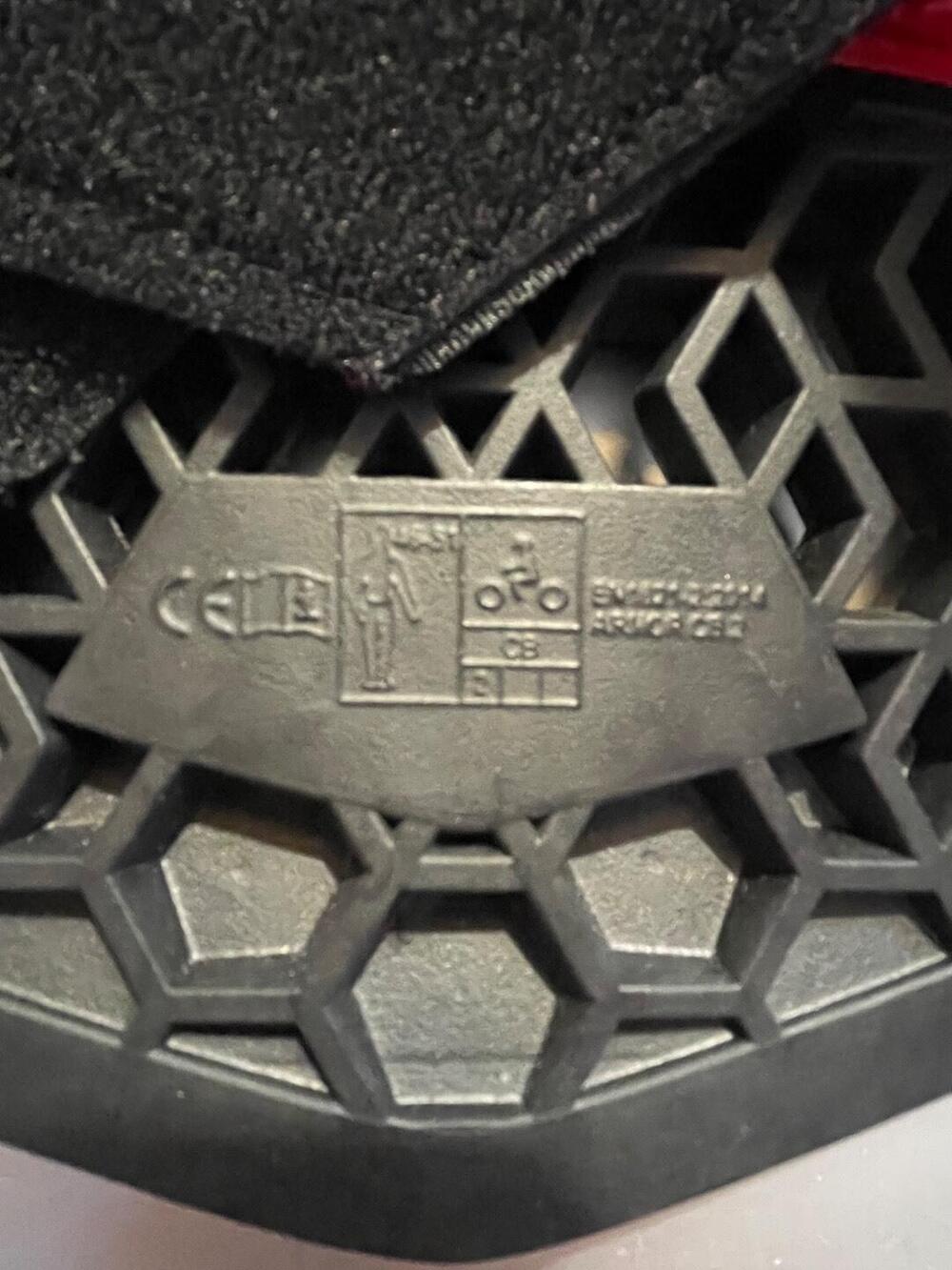 Para schiena Dainese (5)