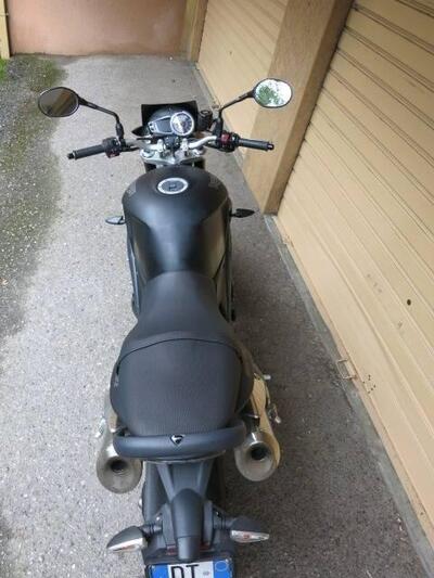 Triumph Speed Triple 1050 (2005 - 11) usata