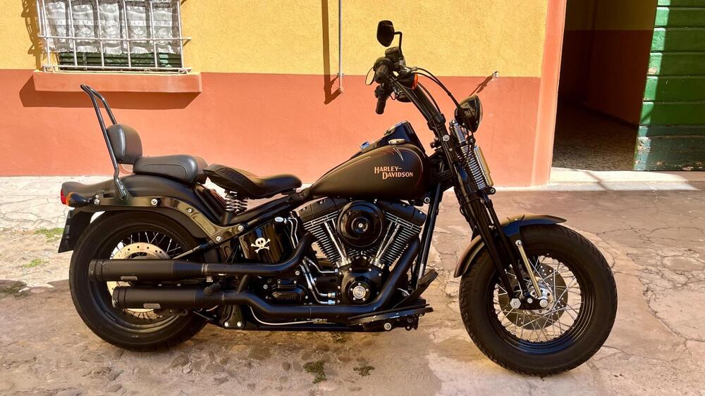 Harley-Davidson 1584 Cross Bones (2008 - 11) - FLSTSB (5)