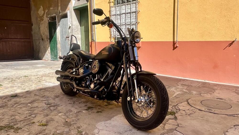 Harley-Davidson 1584 Cross Bones (2008 - 11) - FLSTSB (6)